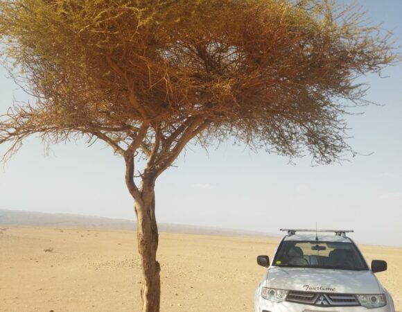 4 Days Sahara Desert to Merzouga From Agadir