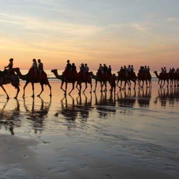 Camel Ride in Taghazout