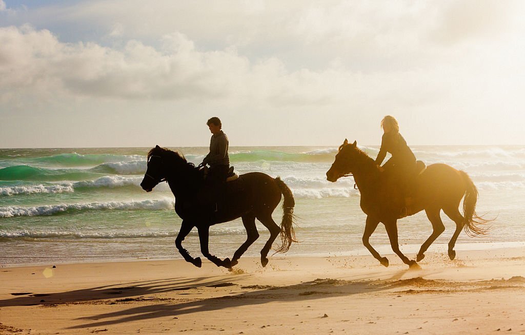 Horse Riding Agadir